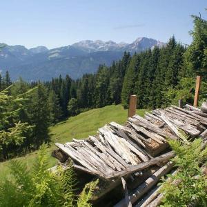Schimanberger Alm - Holz liegt gestapelt