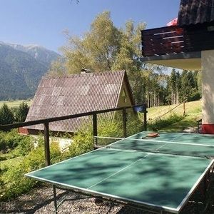 Eine Tischtennisplatte steht im Hintergarten