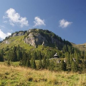 Eine begrünte Landschaft mit Bergem