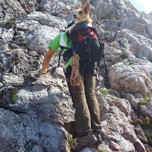 Ein Mann klettert mit Hund im Gepäck einen Berg hoch