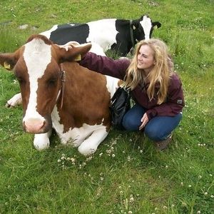 Eine Frau streichelt eine Braune Kuh
