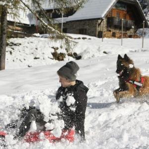 Winter holiday with dog